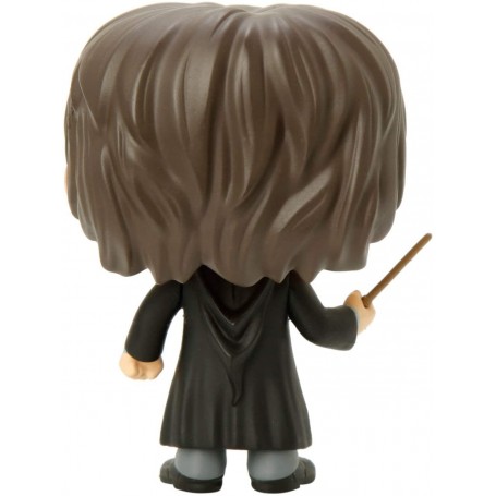Figura Funko Pop! Harry Potter Harry Potter Modelo 01 | 05858