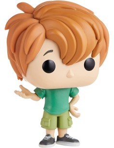 Figura Funko Pop! Películas Scooby Shaggy Modelo 911 | 47538