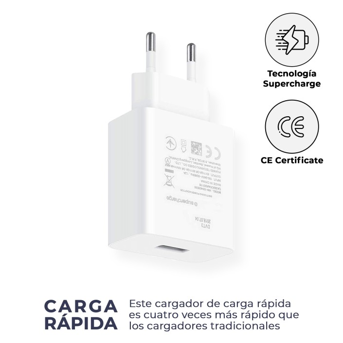 Cargador Compatible CP404 con Cable USB C Carga...