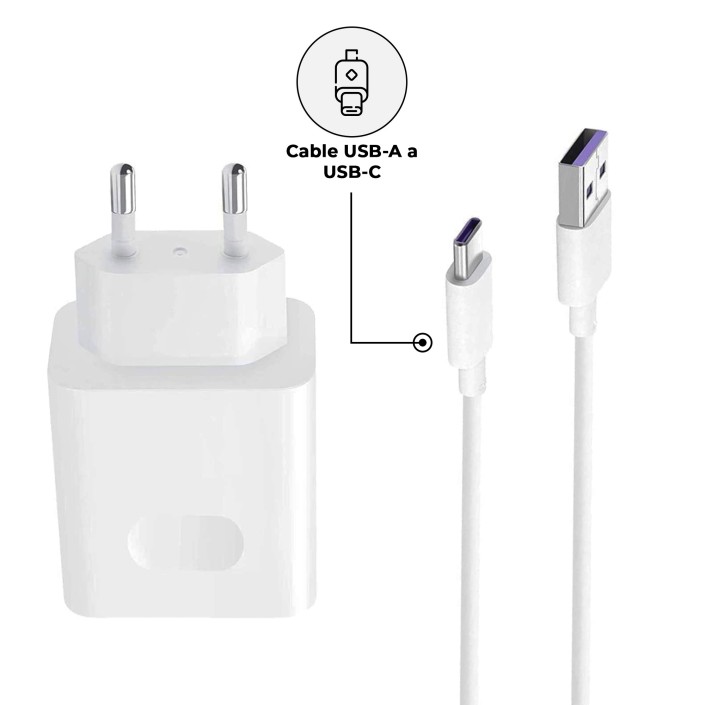 Cargador Compatible CP404 con Cable USB C Carga...