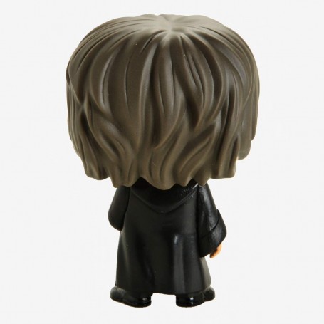 Figura Funko Pop! Harry Potter Harry Potter Modelo 91 | 42608