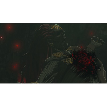 Juego La Leyenda de Zelda: Tears of the Kingdom para Nintendo Switch