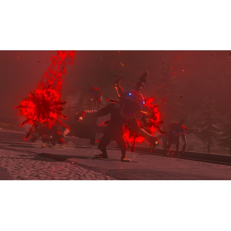 Juego La Leyenda de Zelda: Tears of the Kingdom para Nintendo Switch