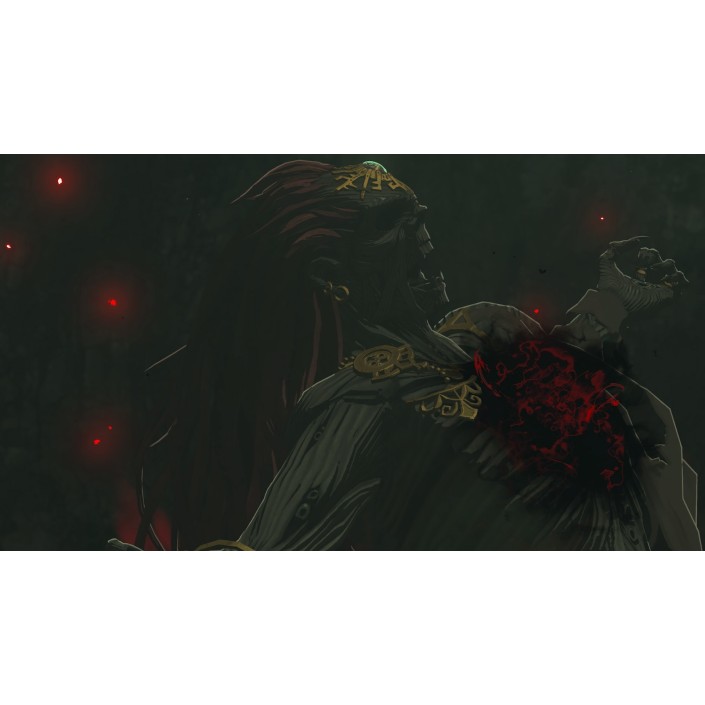 Juego La Leyenda de Zelda: Tears of the Kingdom...