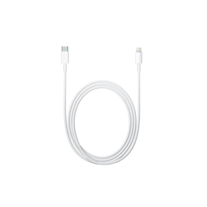 Cable Carga Apple Lightning a USB C MKQ42 de 2m
