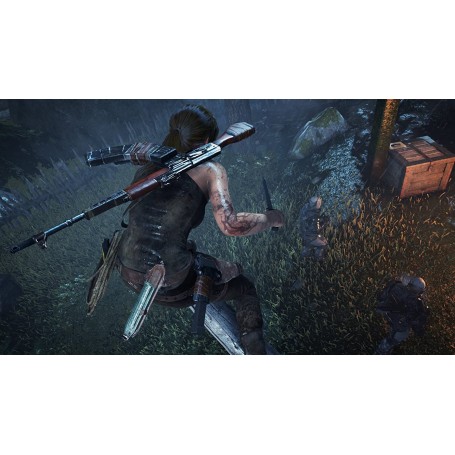 Juego Rise Of The Tomb Raider 20 Aniversario Para Playstation 4 | PS4