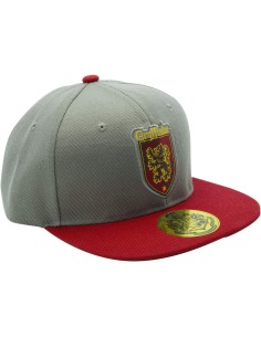 Gorra Abystyle Harry Potter Modelo Gryffindor Color Gris