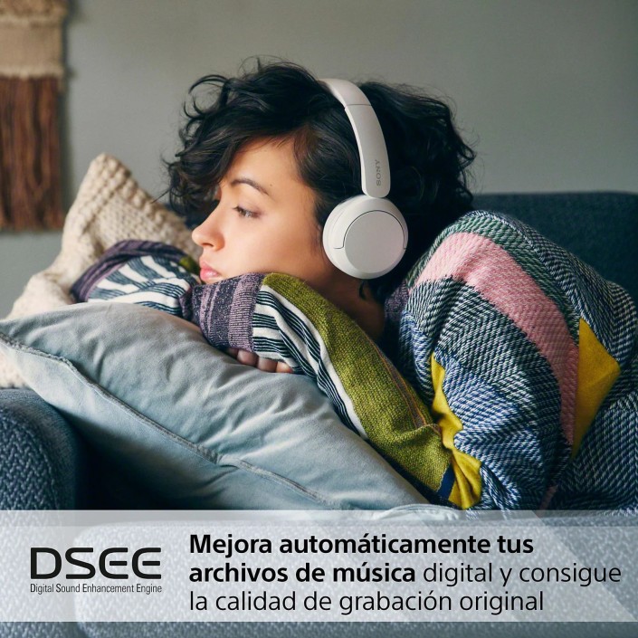 Auriculares Inalámbricos Sony WH-CH520 Color...