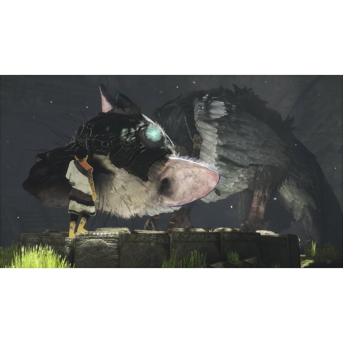 Juego The Last Guardian Para Playstation 4 | PS4
