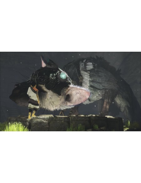 Juego The Last Guardian Para Playstation 4 | PS4