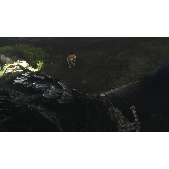 Juego The Last Guardian Para Playstation 4 | PS4