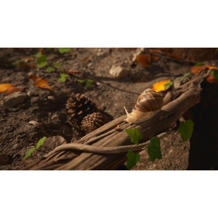 Juego Empire of the Ants: Limited Edition Para...