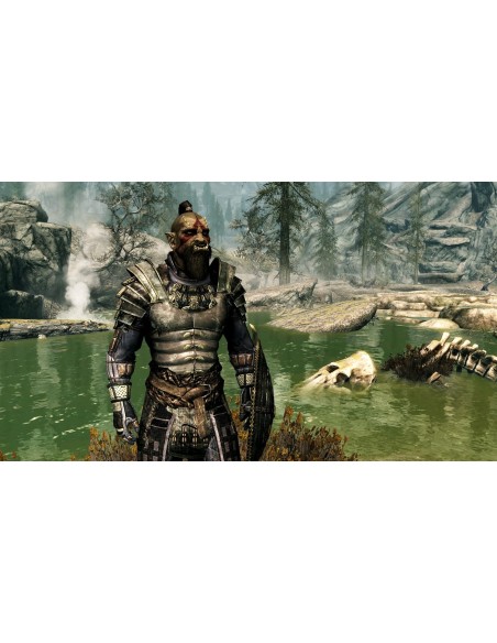 Juego The Elder Scrolls V: Skyrim para Nintendo Switch