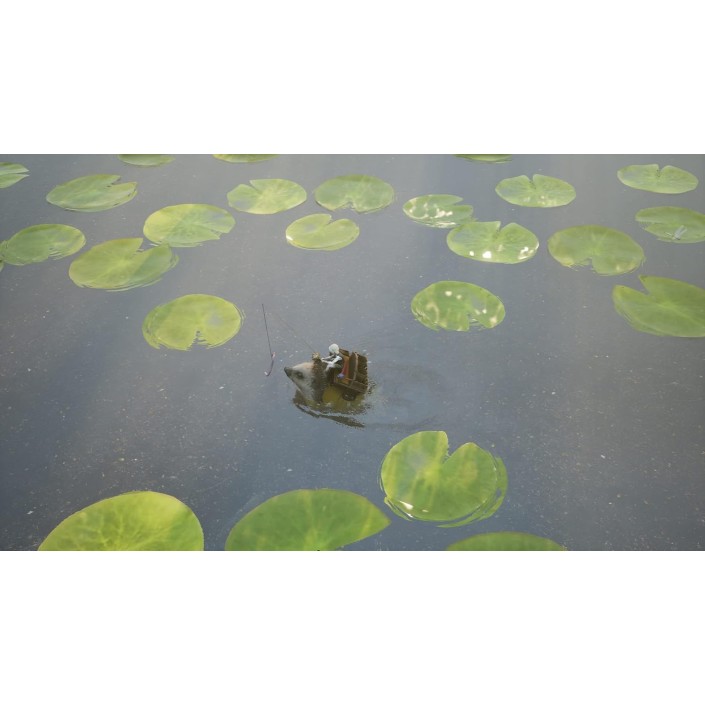 Juego Bramble: The Mountain King Para...