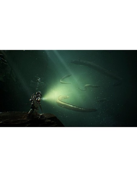 Juego The Sinking City para Playstation 4 | PS4 Importación USA