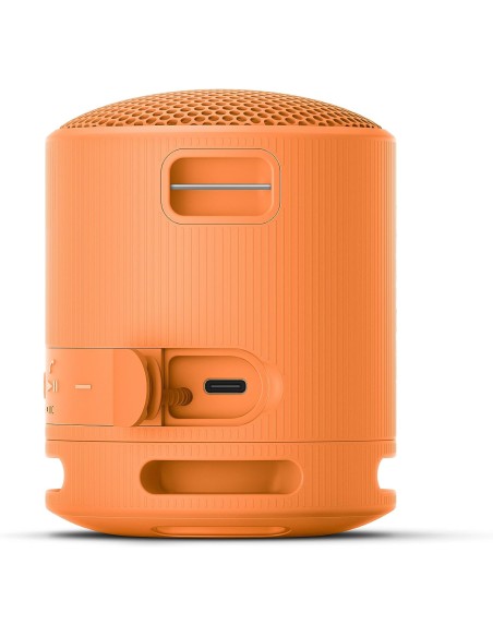 Altavoz Inalámbrico Sony Modelo SRS-XB100 color Naranja