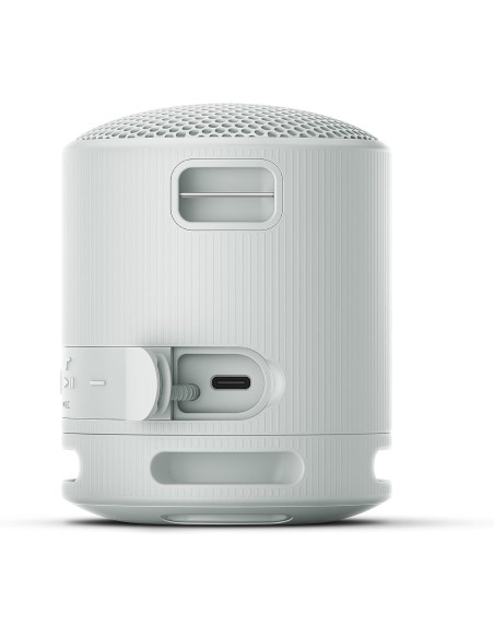 Altavoz Inalámbrico Sony Modelo SRS-XB100 color Gris Claro