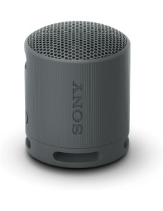 Altavoz Inalámbrico Sony Modelo SRS-XB100 color Negro