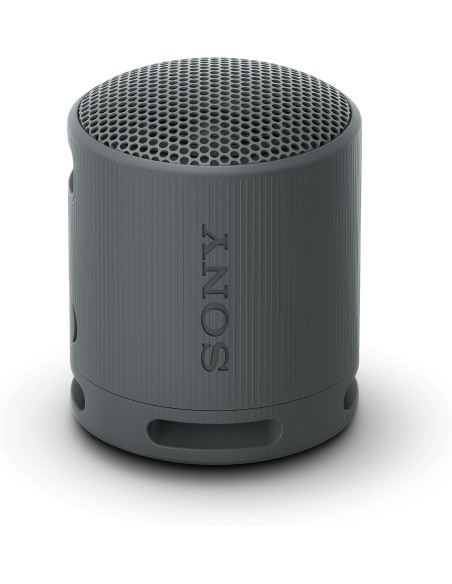 Altavoz Inalámbrico Sony Modelo SRS-XB100 color Negro
