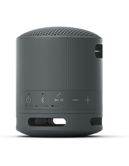 Altavoz Inalámbrico Sony Modelo SRS-XB100 color Negro