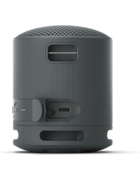Altavoz Inalámbrico Sony Modelo SRS-XB100 color Negro