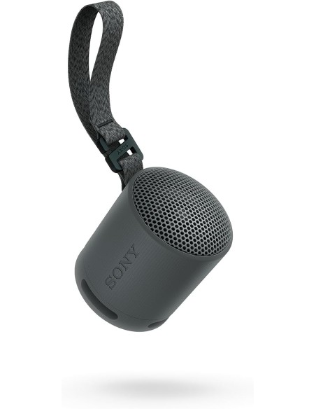 Altavoz Inalámbrico Sony Modelo SRS-XB100 color Negro