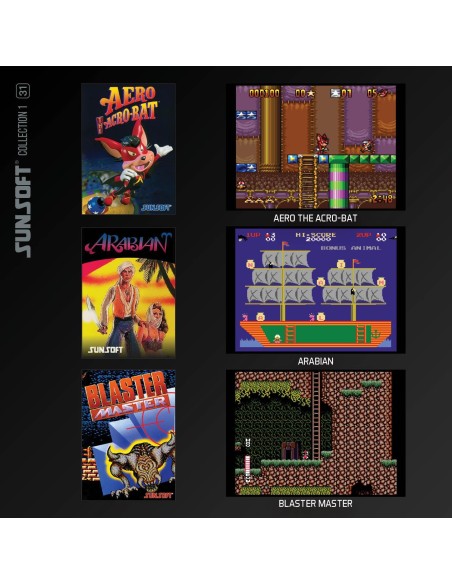Cartucho con Juegos Sunsoft Collection 1 para Videoconsola Evercade
