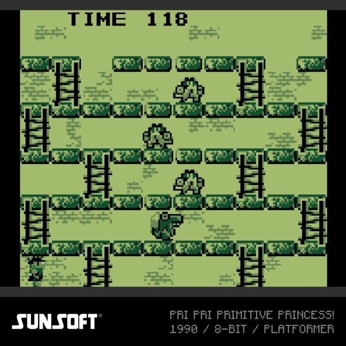 Cartucho con Juegos Sunsoft Collection 2 para...