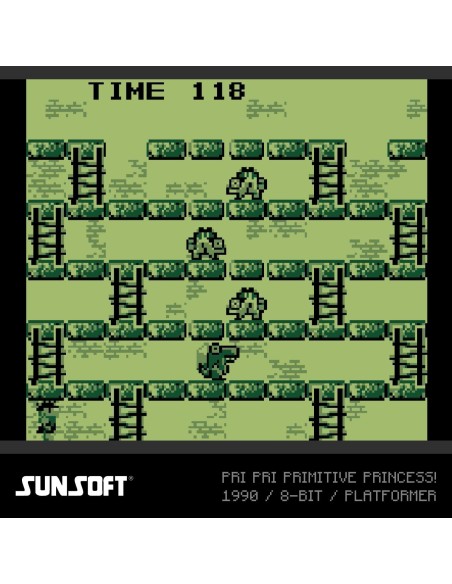 Cartucho con Juegos Sunsoft Collection 2 para Videoconsola Evercade