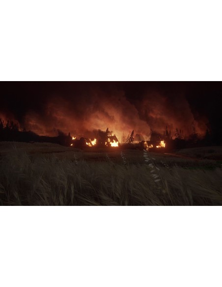 Juego The Last Of Us 2 Remasterizado Para Playstation 5 | PS5