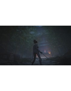 Juego Wuchang Fallen Feathers para Playstation 5 | PS5 2