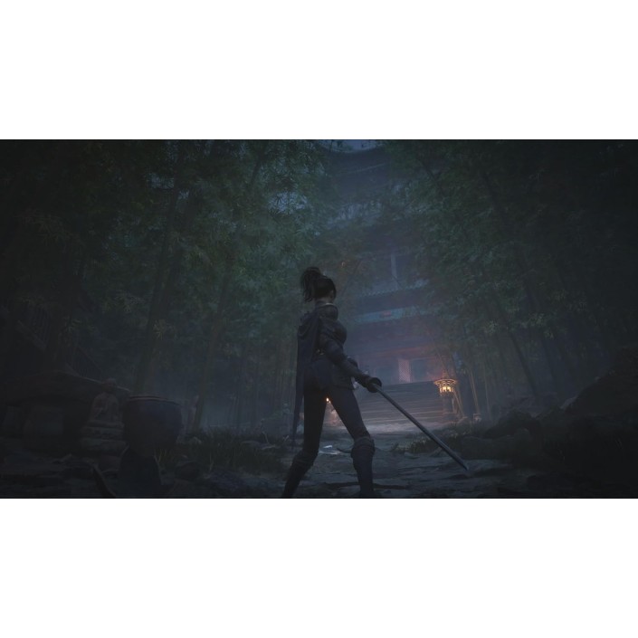 Juego Wuchang Fallen Feathers para Playstation...