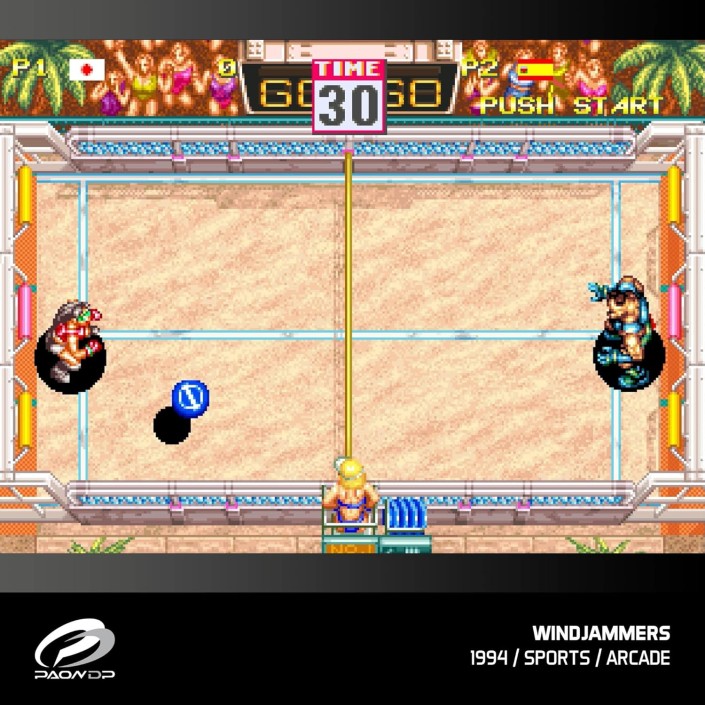 Cartucho con Juegos Windjammers, Karnov &...