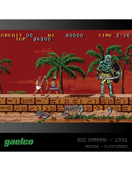 Cartucho con Juegos Gaelco Arcade 2 para Videoconsola Evercade