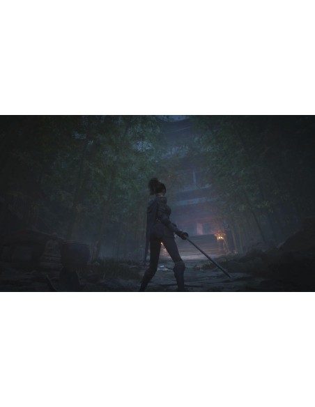 Juego Wuchang Fallen Feathers para Playstation 5 | PS5