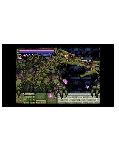 Juego Castlevania Advanced Collection Edición Deluxe para Nintendo Switch Importación Asia