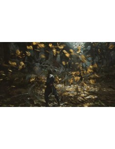 Juego Black Myth Wukong para Playstation 5 | PS5 | Outlet... 2