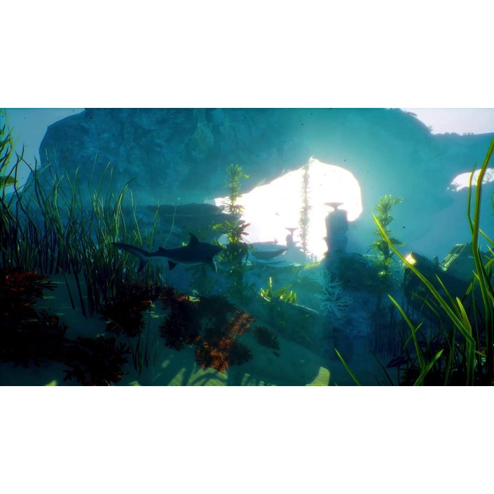 Juego Maneater para Nintendo Switch | Outlet...