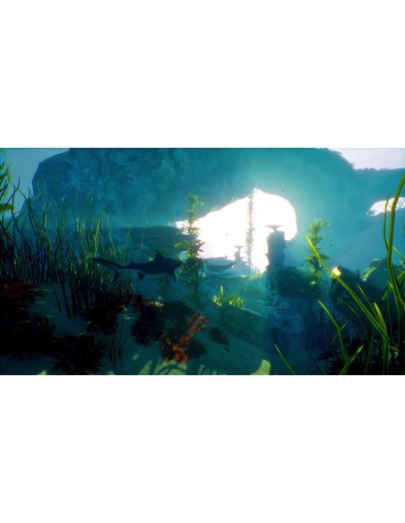 Juego Maneater para Nintendo Switch | Outlet Caja Abierta