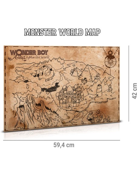 Juego Wonder Boy Asha in Monster World Edición Coleccionista Limitada para Nintendo Switch