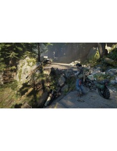Days Gone Playstation 4 2