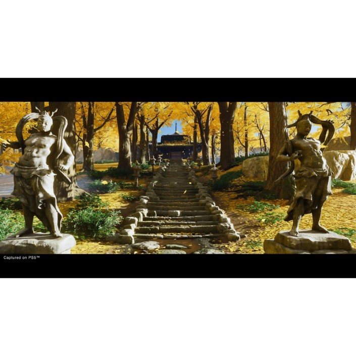 Juego Ghost of Tsushima Director´s Cut Para...