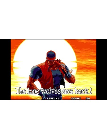 Juego ACA NEOGEO Selection Vol. 9 para Nintendo Switch | Importación Asia