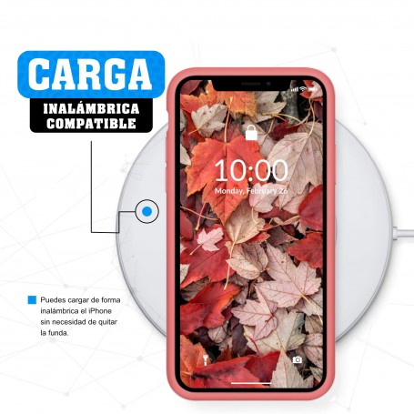 Funda Silicona para Apple iPhone X / Xs Camelia - Librephonia